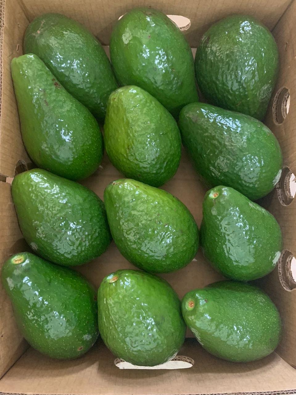 Foto Aguacate
